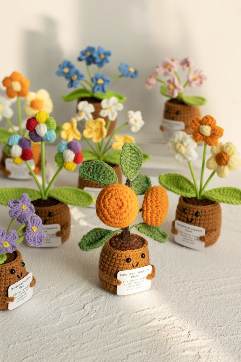 Emotional Support Cute Crochet Flower Pot