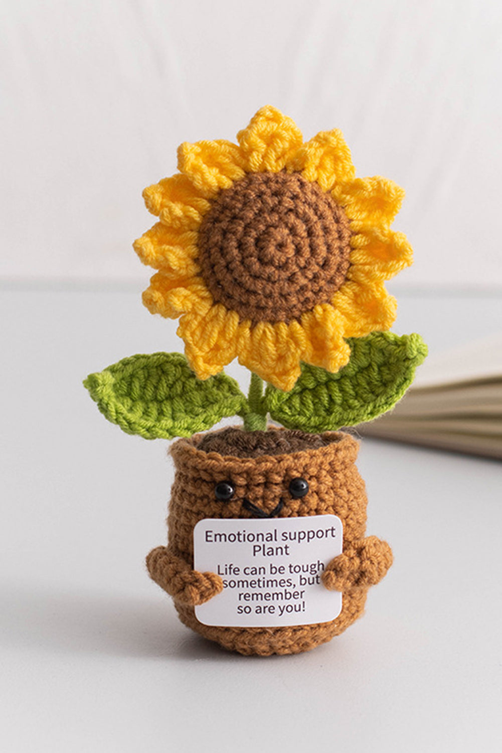 Emotional Support Cute Crochet Flower Pot